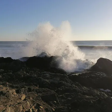 Le De Lyxie-nature Et Sports * Talmont-Saint-Hilaire
