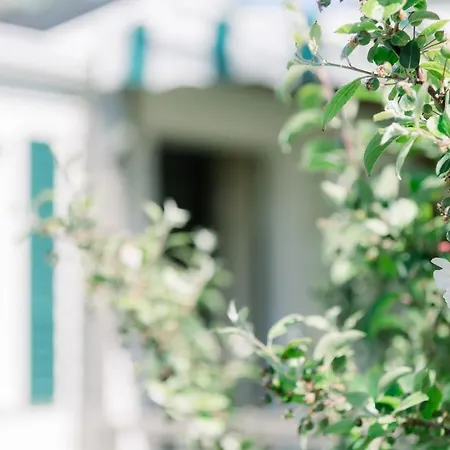 假日公园 Le De Lyxie-nature Et Sports Talmont-Saint-Hilaire