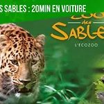 Le De Lyxie-nature Et Sports * Talmont-Saint-Hilaire