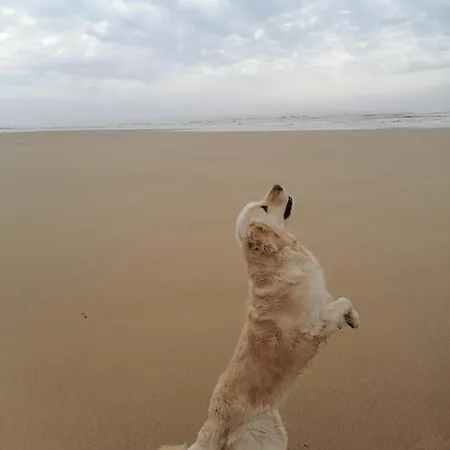 Le De Lyxie-nature Et Sports Talmont-Saint-Hilaire