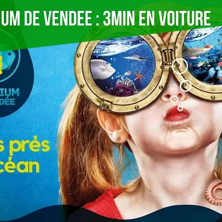 Le De Lyxie-nature Et Sports * Talmont-Saint-Hilaire