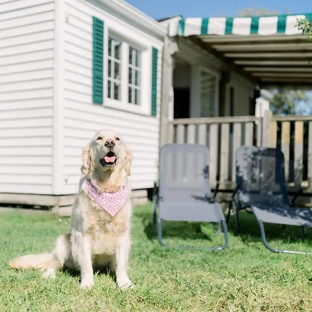 Le De Lyxie-nature Et Sports * Talmont-Saint-Hilaire