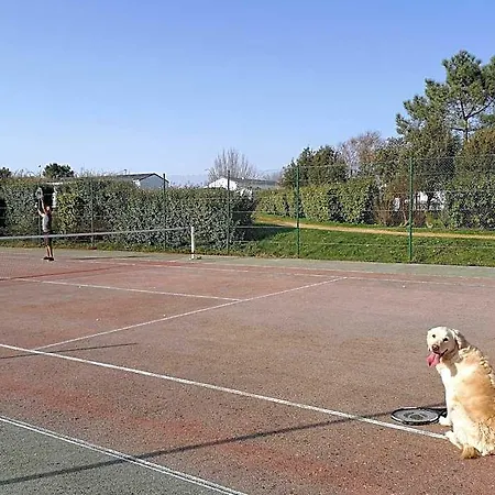 Le De Lyxie-nature Et Sports منتزه العطل Talmont-Saint-Hilaire