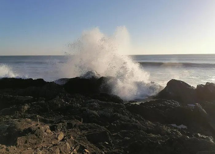 Le De Lyxie-nature Et Sports * Talmont-Saint-Hilaire
