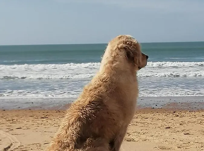 Le De Lyxie-nature Et Sports * Talmont-Saint-Hilaire