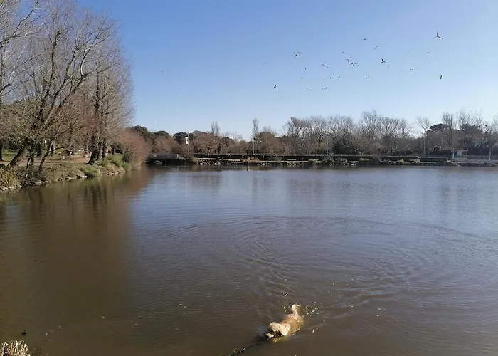 Ferienpark Le De Lyxie-nature Et Sports