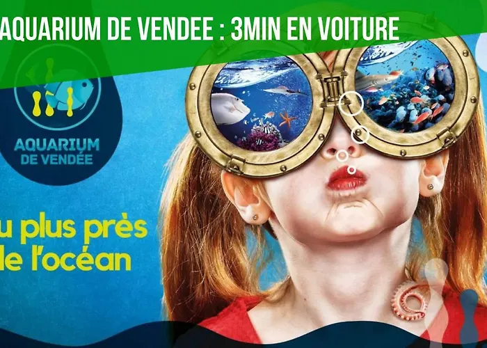 Le De Lyxie-nature Et Sports * Talmont-Saint-Hilaire