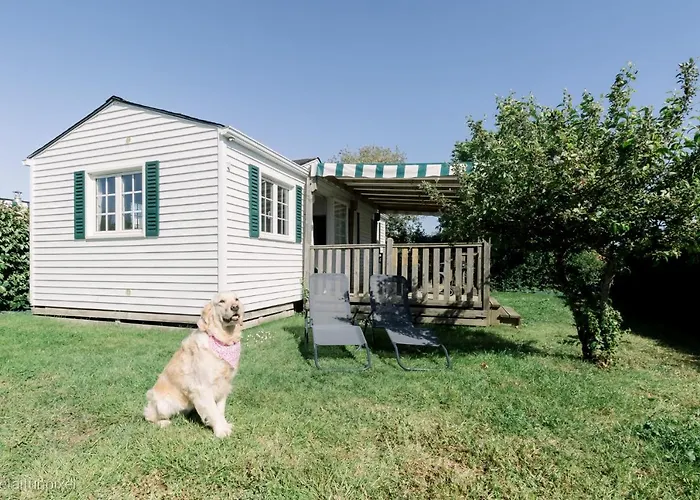 Le De Lyxie-nature Et Sports * Talmont-Saint-Hilaire