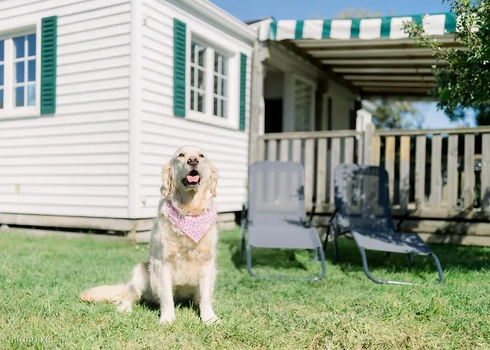 Le De Lyxie-nature Et Sports * Talmont-Saint-Hilaire