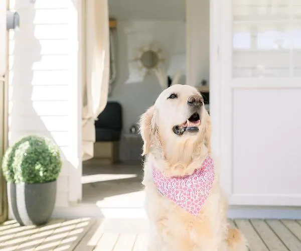 Ferienpark Le De Lyxie-nature Et Sports *